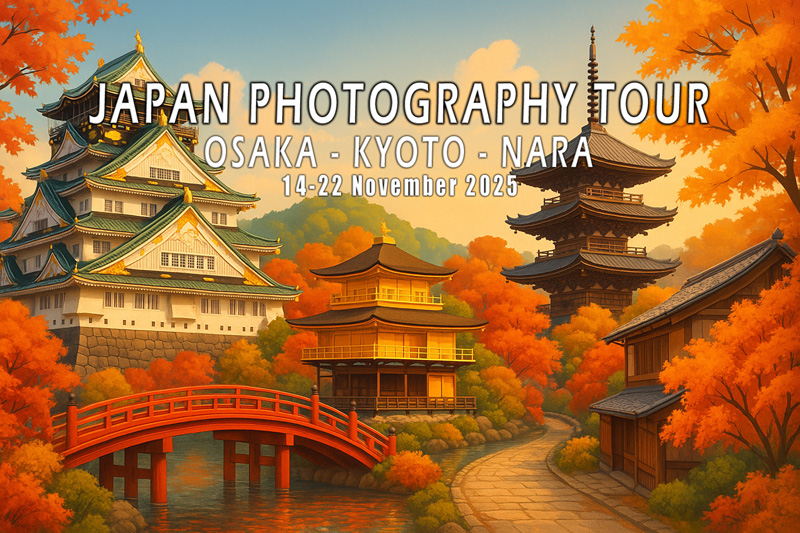 Japan Photography Tour November 2025